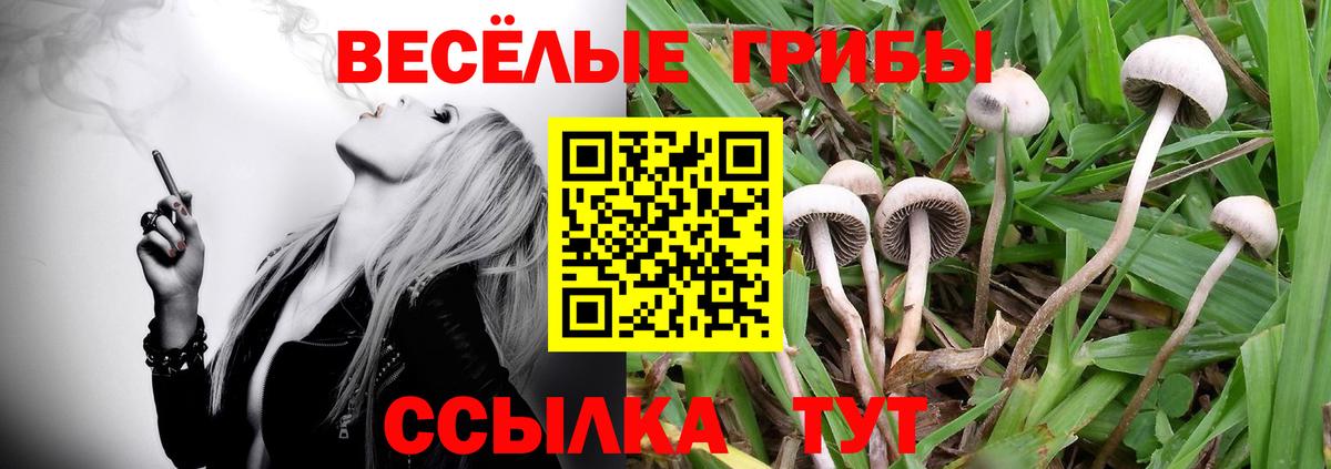 Галлюциногенные грибы MAGIC MUSHROOMS Коркино
